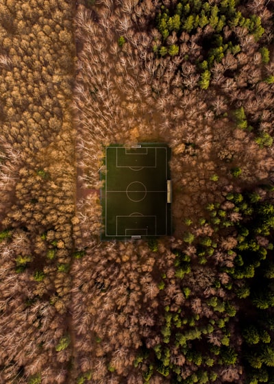 جدول مباريات دوري أبطال آسيا 2024مواعيد وأهم المواجهات